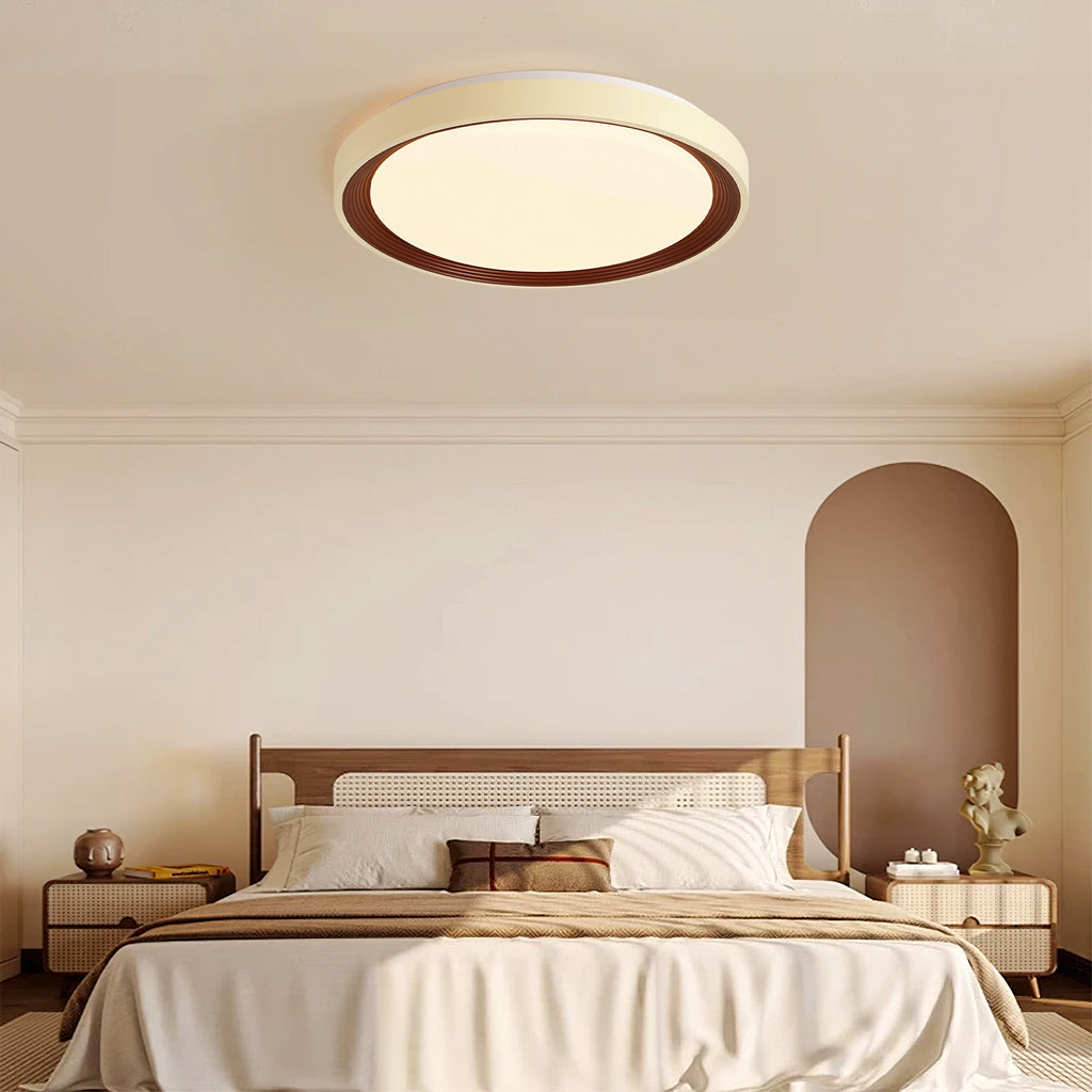 Ceiling Light