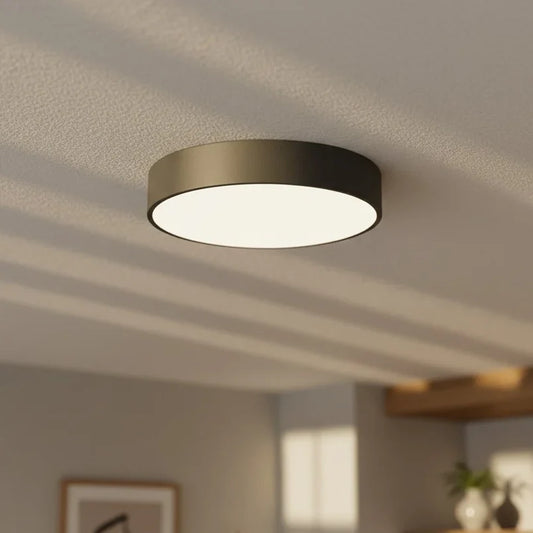 Minimalist Round Iron Ceiling Light