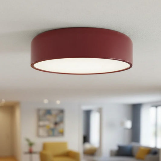 Minimalist Morandi Metal LED Ceiling Light