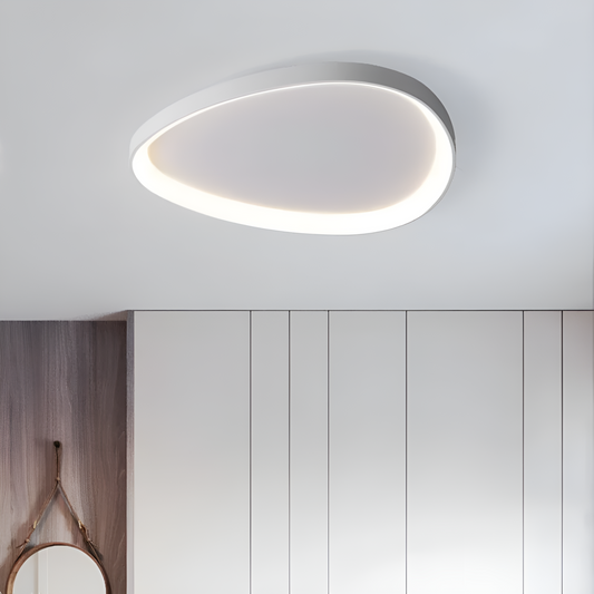 Modern Acrylic LED Ceiling Light