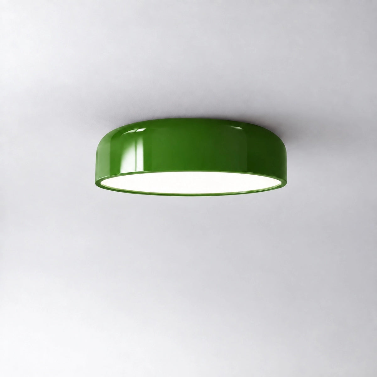 Minimalist Morandi Metal LED Ceiling Light
