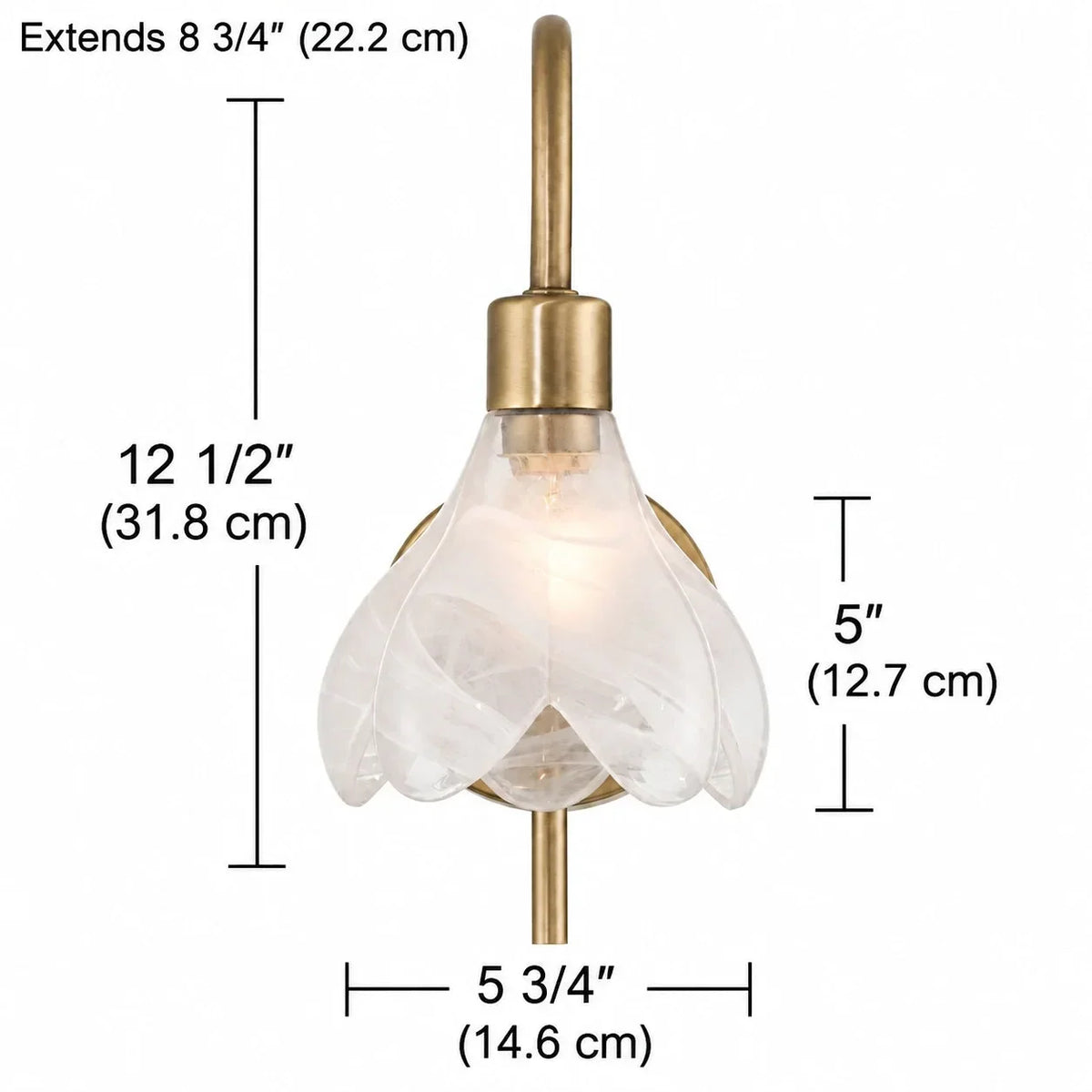 Floral glass wall light dimensions