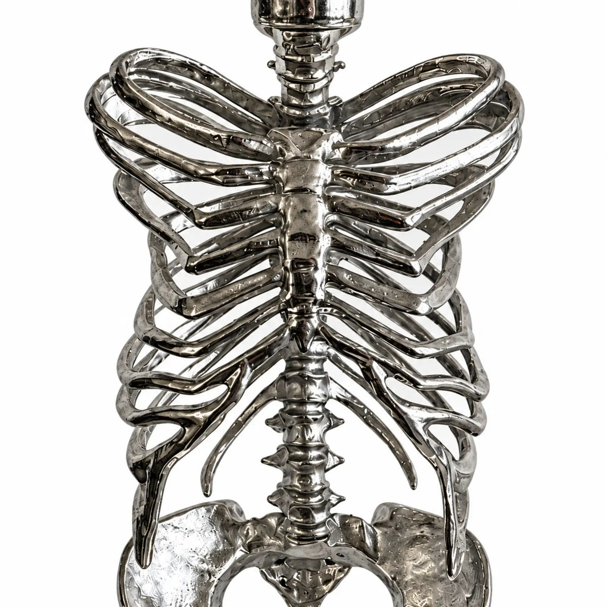 Close detail of antique silver skeleton ribcage